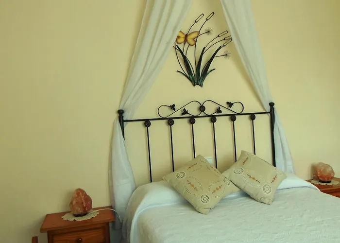 El Boyo Сasa de vacaciones *